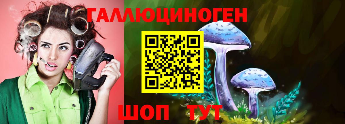 Псилоцибиновые грибы Cubensis Советск